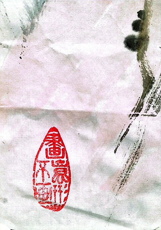 杜长义 翠羽映彩霞