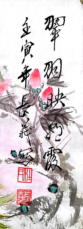 杜长义 翠羽映彩霞