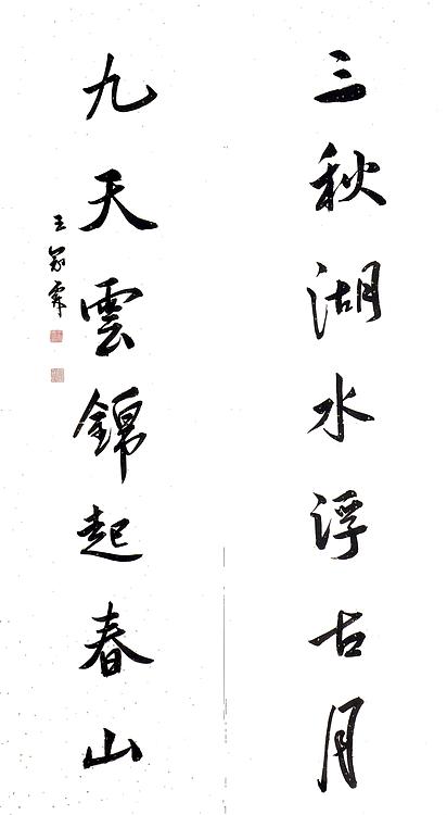 职业书画家 王冠霖 对联055