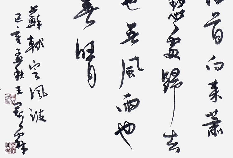 职业书画家 王冠霖 苏东坡《定风波》052