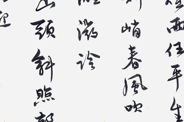 职业书画家 王冠霖 苏东坡《定风波》052