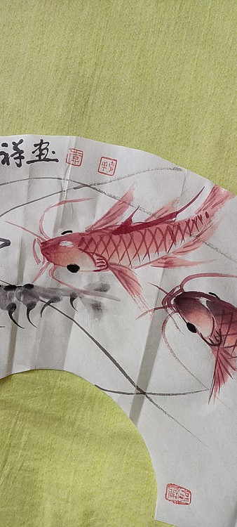 翱翔 鱼虾共舞