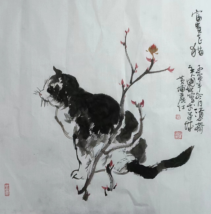清心斋主 富贵花猫