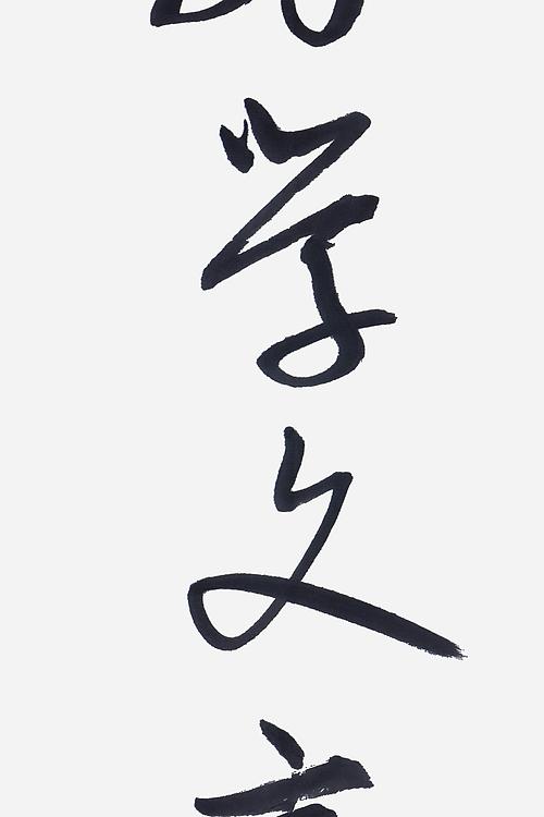 职业书画家 王冠霖 中堂对联056
