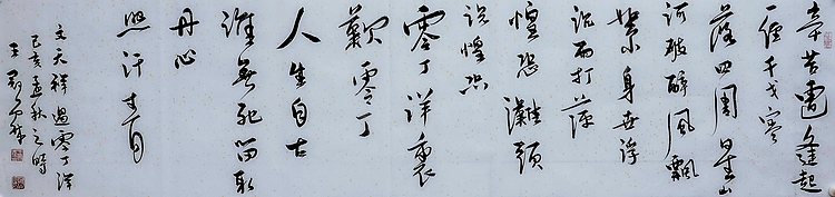 职业书画家 王冠霖 文天祥《过零丁洋》070