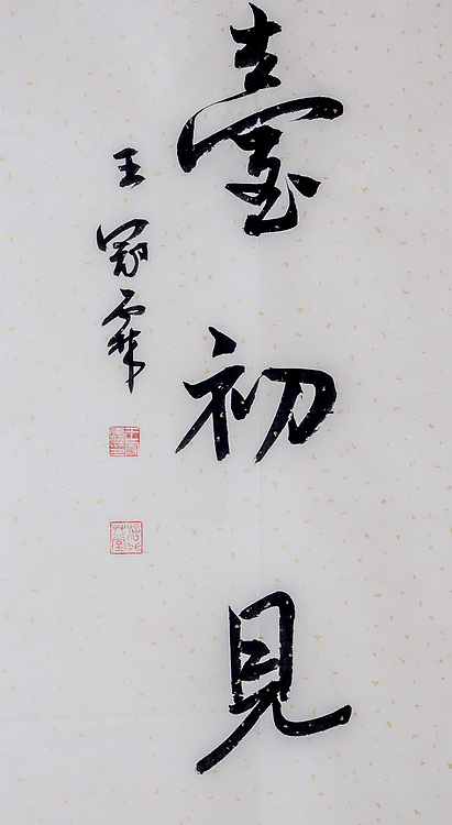 职业书画家 王冠霖 楹联64