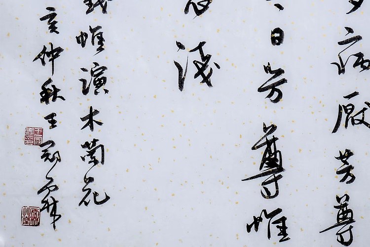 职业书画家 王冠霖 钱维演《木兰花》069