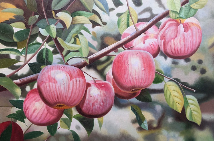 陈一茗 红苹果