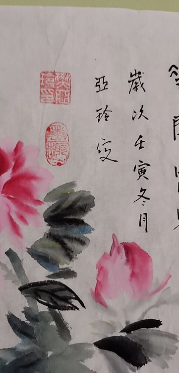清荷 花开富贵