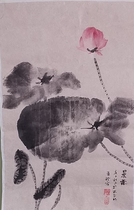 清荷 晨露