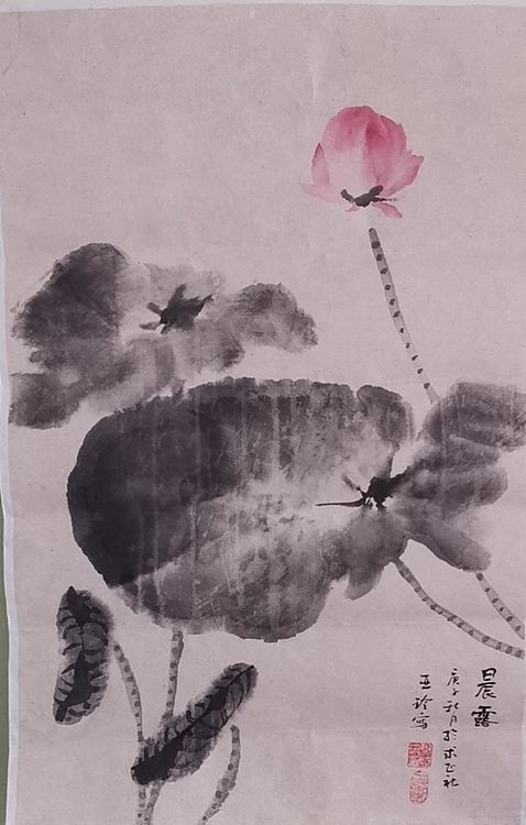 清荷 晨露