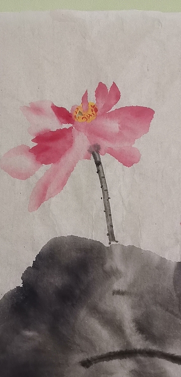 清荷 清凉世界