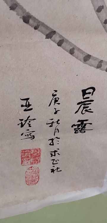 清荷 晨露