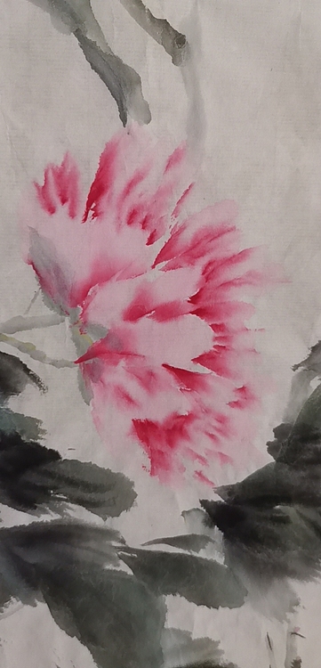 清荷 花开富贵
