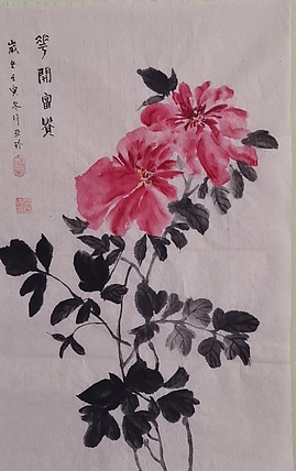 清荷 花开富贵