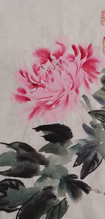 清荷 花开富贵