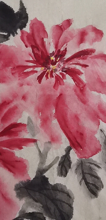 清荷 花开富贵