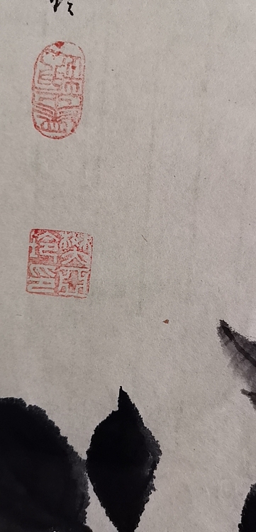清荷 花开富贵