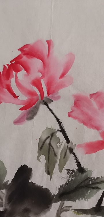 清荷 花开富贵