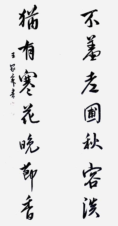 职业书画家 王冠霖 中堂对子078