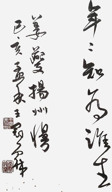职业书画家 王冠霖 姜夔《扬州慢》072