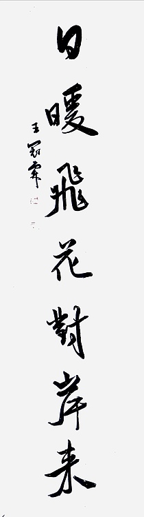 职业书画家 王冠霖 中堂对联077