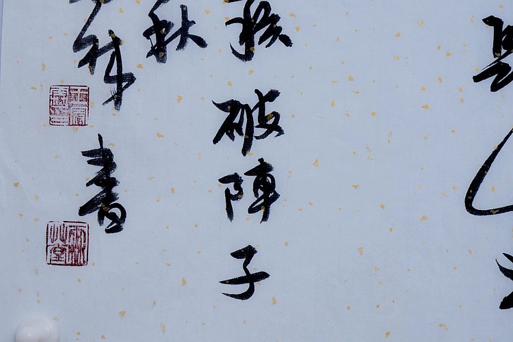 职业书画家 王冠霖 辛弃疾《破阵子》071