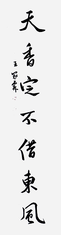 职业书画家 王冠霖 中堂对子076