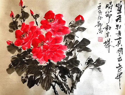 绍静 牡丹