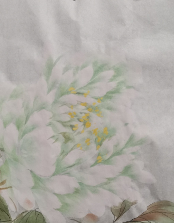 李乃昕 牡丹小品