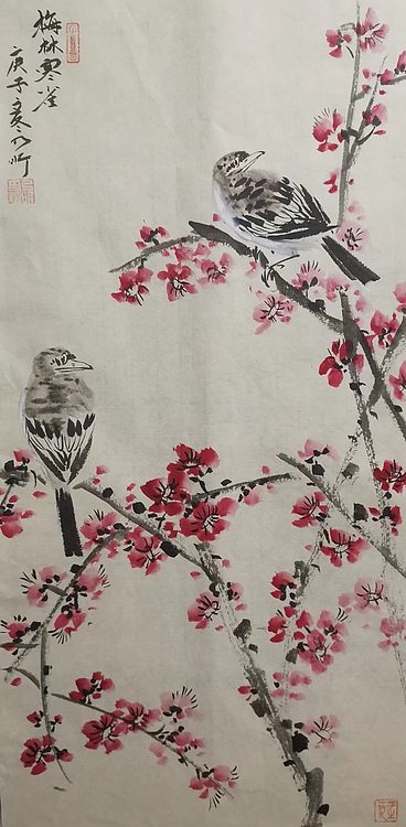 中国人民大学讲师 李乃昕 梅花山雀