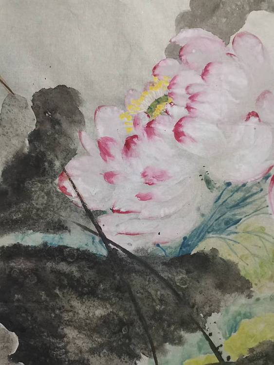 李乃昕 漫卷开合