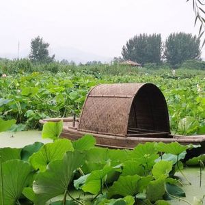 王绍丽
