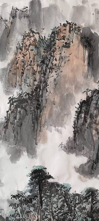 画树成林 黄山胜景