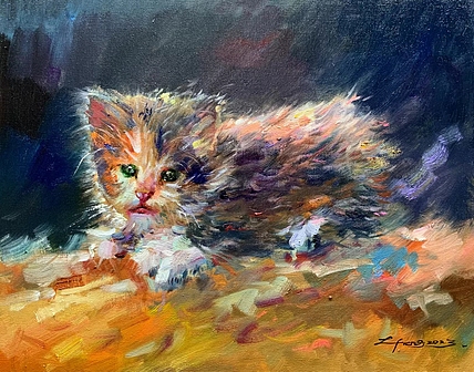 梁峰 小萌猫