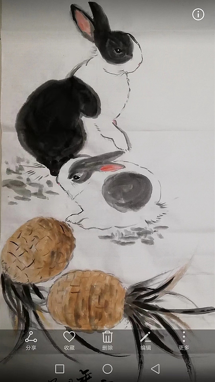 贺国平 国画（可爱的小兔）