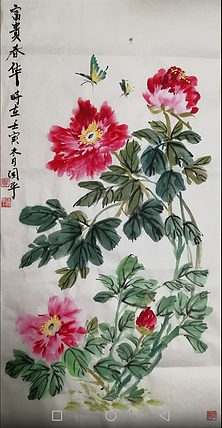 贺国平 国画（花开富贵）
