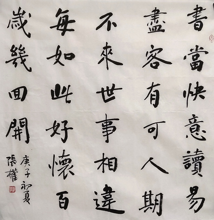 青海美协副主席 中国美协会员 张权 书当快意读