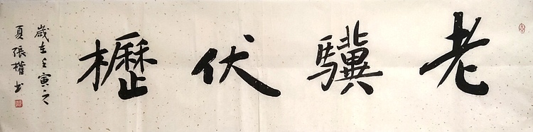 青海美协副主席 中国美协会员 张权 老骥伏枥