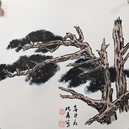 中国美术家协会会员 天津美术家协会理事 柴博森