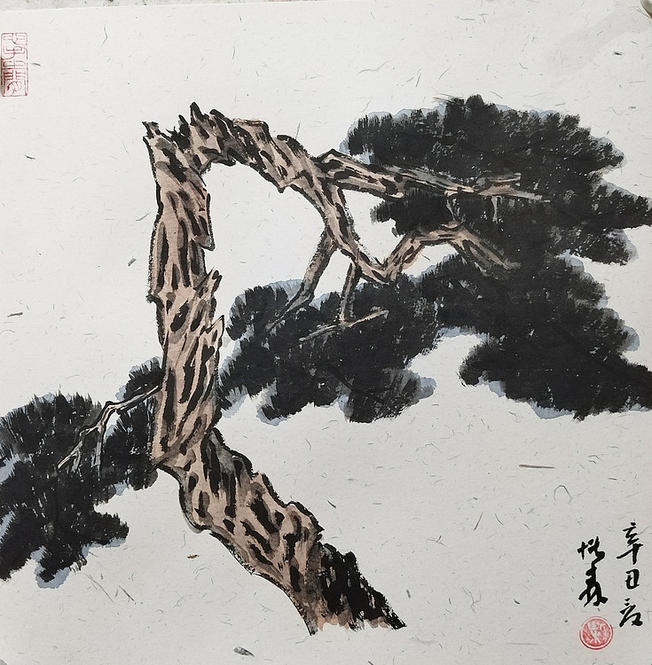 中国美术家协会会员 天津美术家协会理事 柴博森