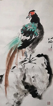中国人民大学午间课堂花鸟课讲师 李乃昕 锦鸡