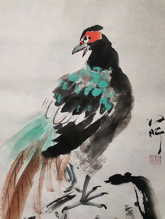 中国人民大学午间课堂花鸟课讲师 李乃昕 锦鸡