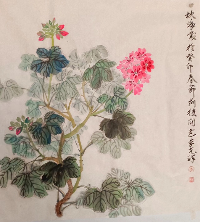 翱翔 秋海裳