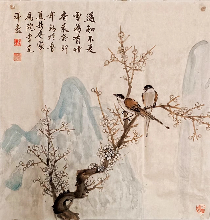 翱翔 双清