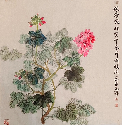 翱翔 秋海裳