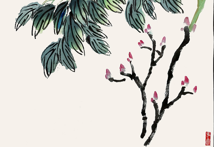 寒石 独占春光