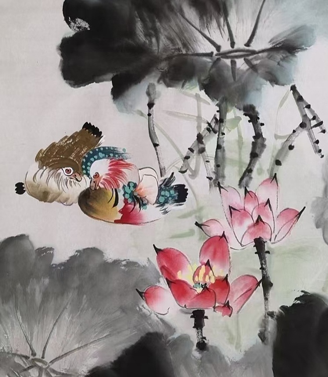 高兴 荷花鸳鸯