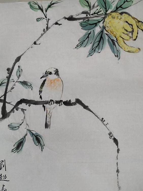 刘超 小写意佛手小鸟