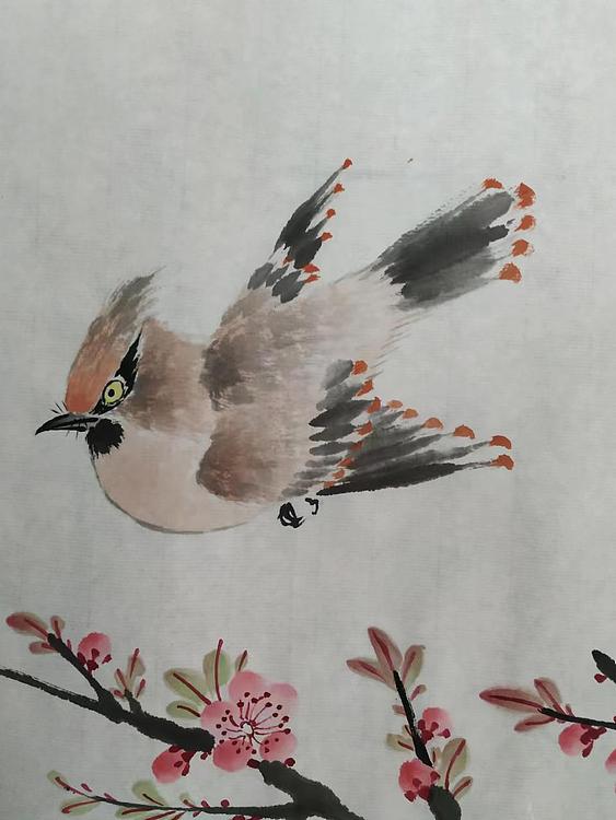 刘超 小写意花鸟册页八开